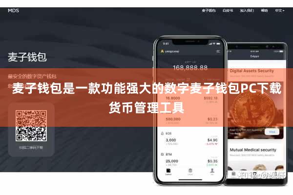 麦子钱包是一款功能强大的数字麦子钱包PC下载货币管理工具