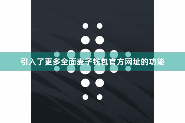引入了更多全面麦子钱包官方网址的功能