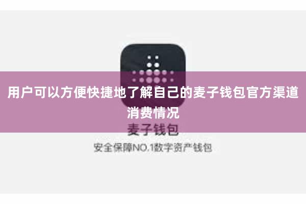 用户可以方便快捷地了解自己的麦子钱包官方渠道消费情况