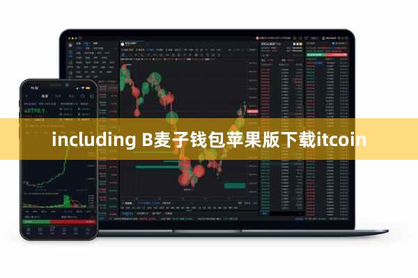 including B麦子钱包苹果版下载itcoin