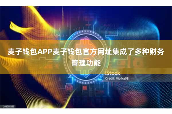 麦子钱包APP麦子钱包官方网址集成了多种财务管理功能