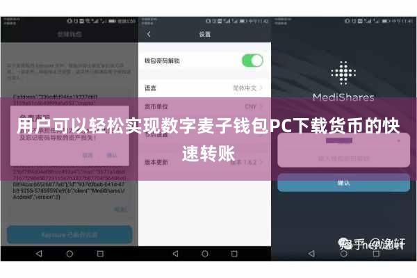 用户可以轻松实现数字麦子钱包PC下载货币的快速转账