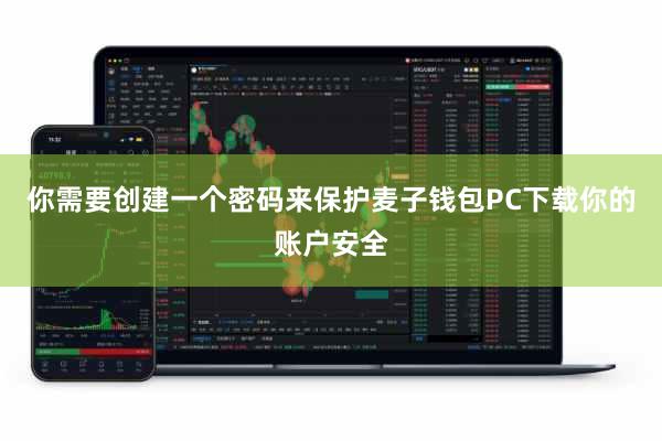 你需要创建一个密码来保护麦子钱包PC下载你的账户安全