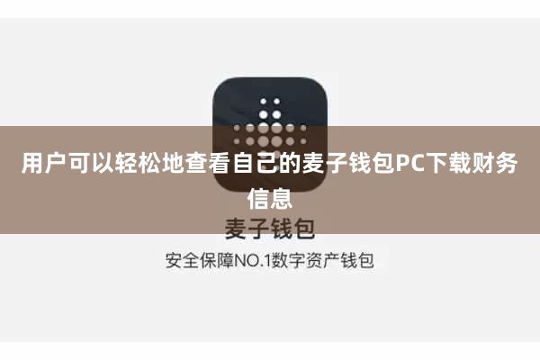 用户可以轻松地查看自己的麦子钱包PC下载财务信息
