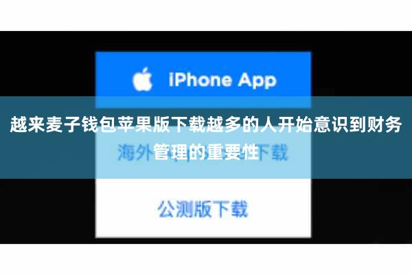 越来麦子钱包苹果版下载越多的人开始意识到财务管理的重要性