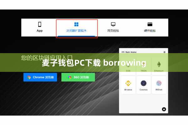 麦子钱包PC下载 borrowing
