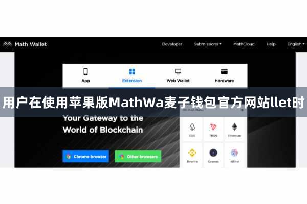用户在使用苹果版MathWa麦子钱包官方网站llet时