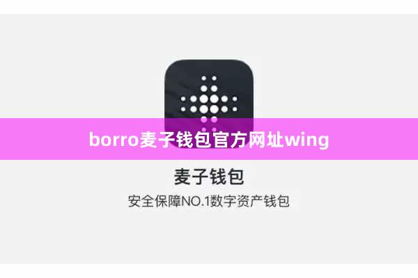 borro麦子钱包官方网址wing