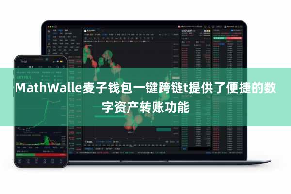 MathWalle麦子钱包一键跨链t提供了便捷的数字资产转账功能
