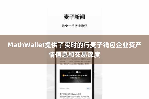 MathWallet提供了实时的行麦子钱包企业资产情信息和交易深度