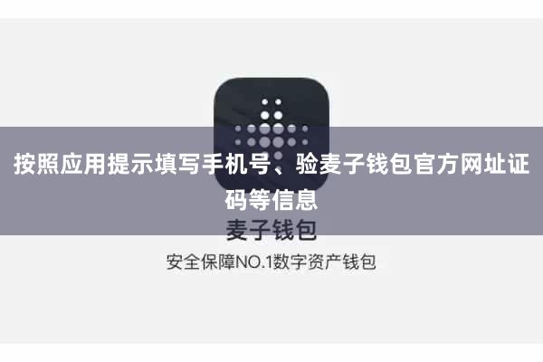 按照应用提示填写手机号、验麦子钱包官方网址证码等信息