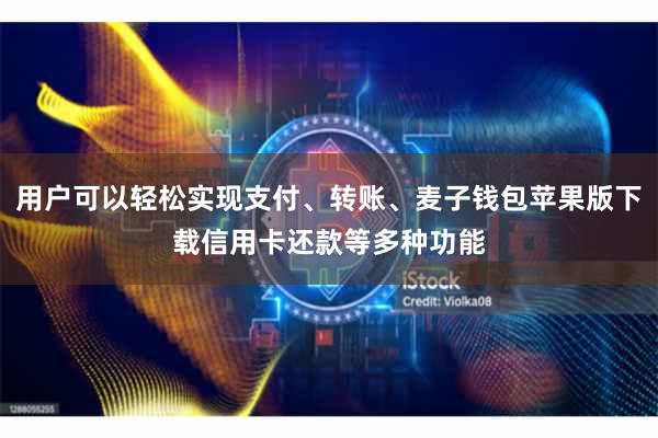 用户可以轻松实现支付、转账、麦子钱包苹果版下载信用卡还款等多种功能