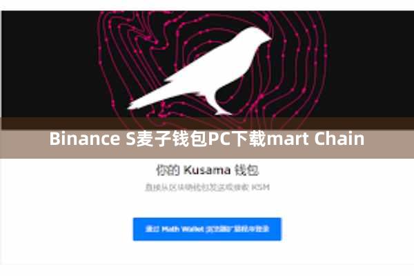 Binance S麦子钱包PC下载mart Chain
