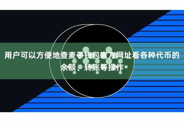 用户可以方便地查麦子钱包官方网址看各种代币的余额、转账等操作