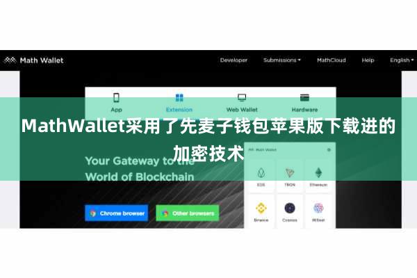 MathWallet采用了先麦子钱包苹果版下载进的加密技术